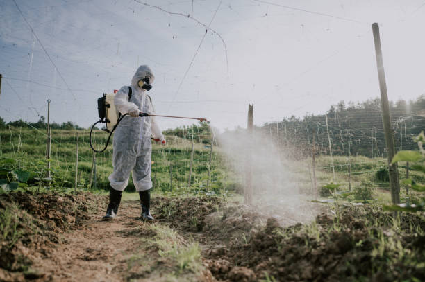 Best Pest Prevention Services  in Princeton, WI